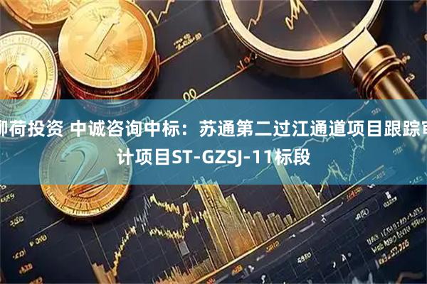 柳荷投资 中诚咨询中标：苏通第二过江通道项目跟踪审计项目ST-GZSJ-11标段