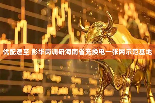 优配速至 彭华岗调研海南省充换电一张网示范基地