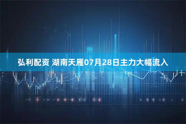 弘利配资 湖南天雁07月28日主力大幅流入