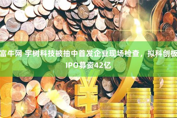 富牛网 宇树科技被抽中首发企业现场检查，拟科创板IPO募资42亿