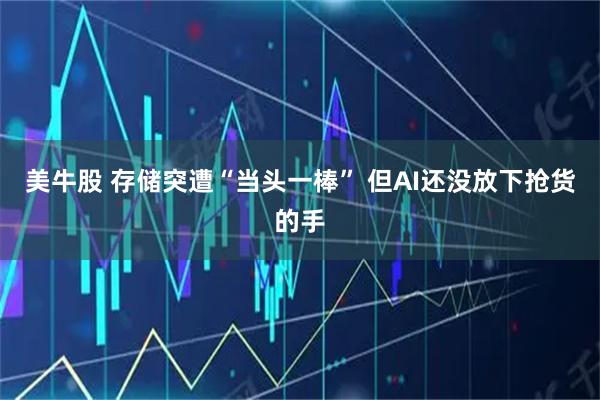美牛股 存储突遭“当头一棒” 但AI还没放下抢货的手