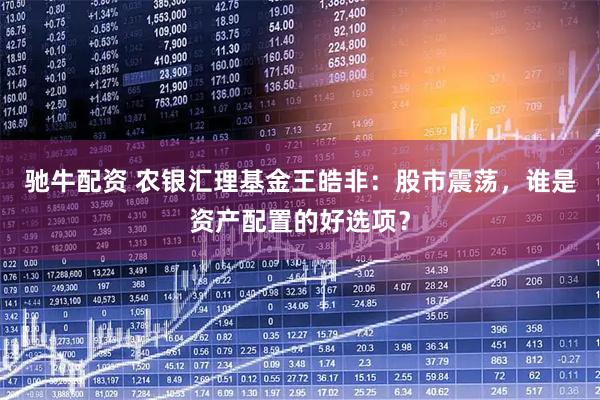驰牛配资 农银汇理基金王皓非：股市震荡，谁是资产配置的好选项？
