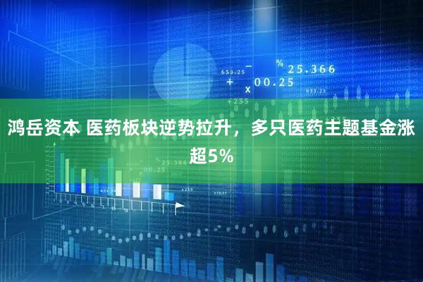 鸿岳资本 医药板块逆势拉升，多只医药主题基金涨超5%